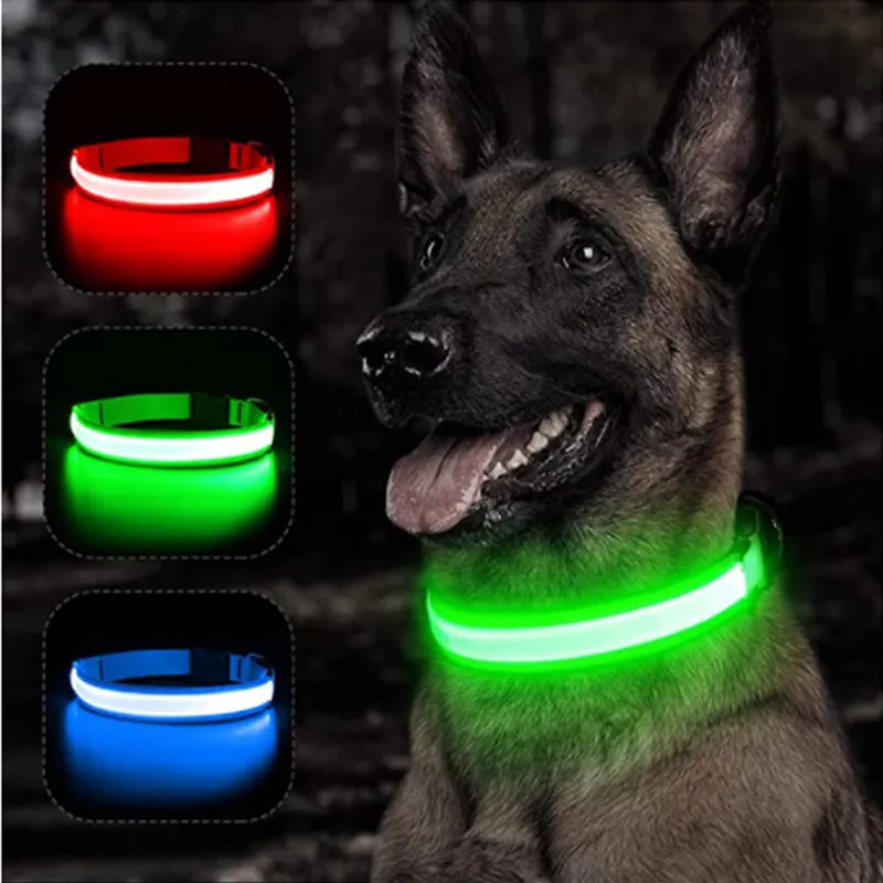 LED Glowing Dog Collar Adj Flashing Rechargeable Collar Night